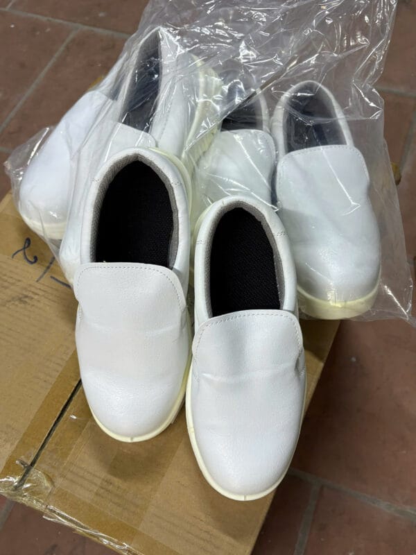 giày phòng sạch mũi thép